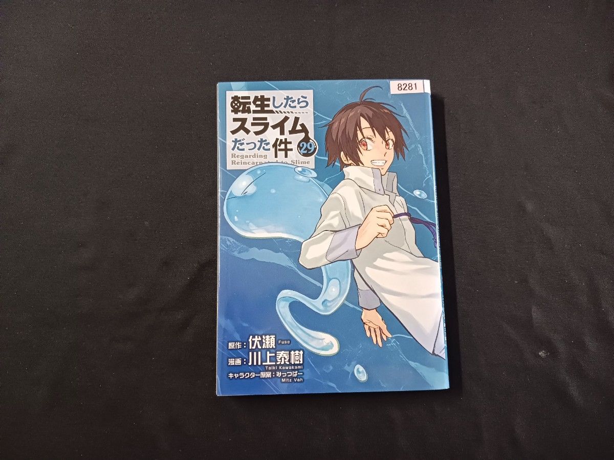 伏濑《关于我转生变成史莱姆这档事》第29卷