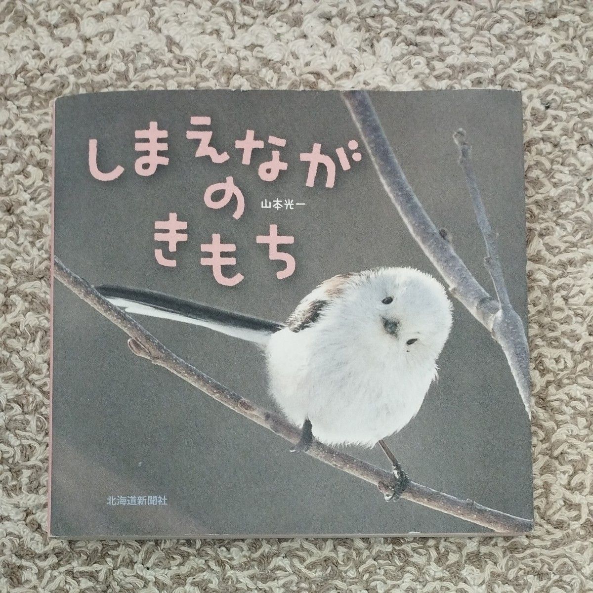 北海道新闻社，北海道新闻社，北海道新闻社