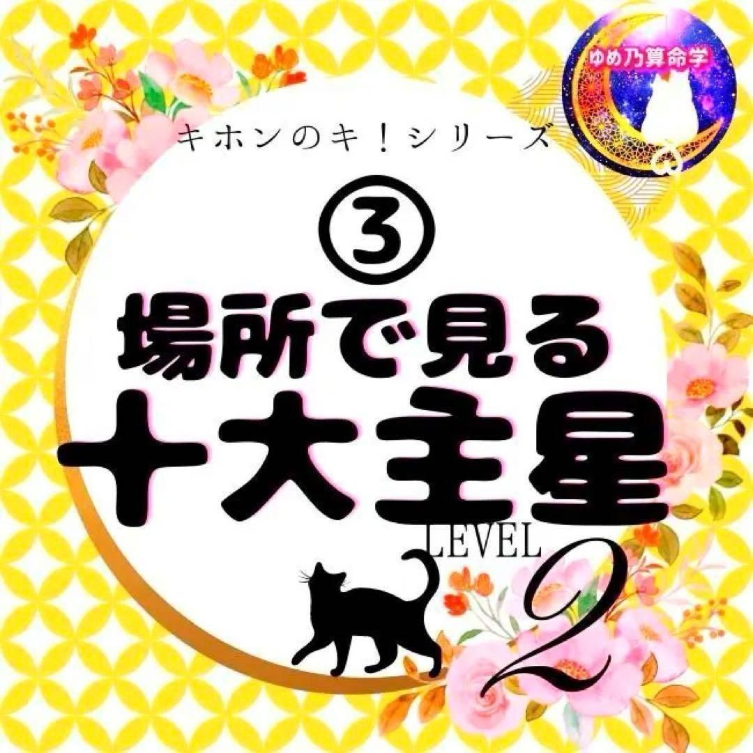 【キホン】③場所で見る十大主星 レベル2 独学 鑑定 本 占い