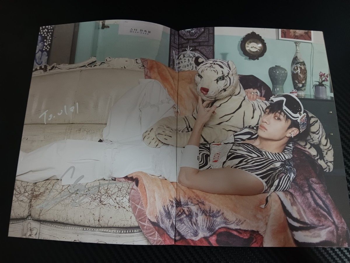 Straykids 五星级写真集 全员亲笔签名