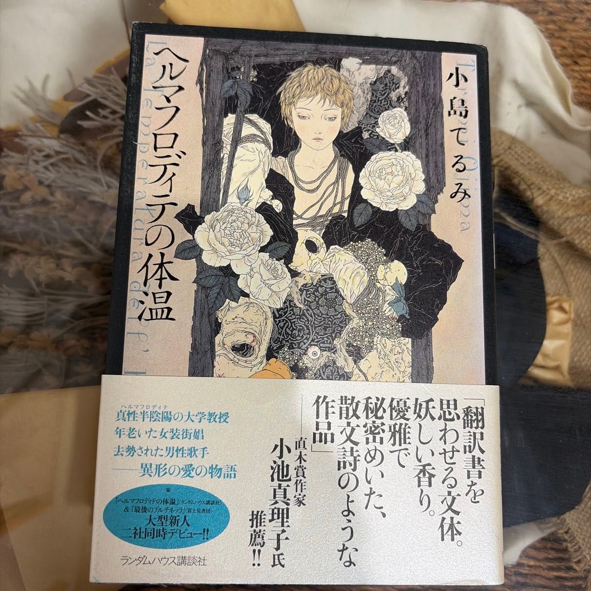 【初版】 ヘルマフロディテの体温 小島てるみ ランダムハウス講談社