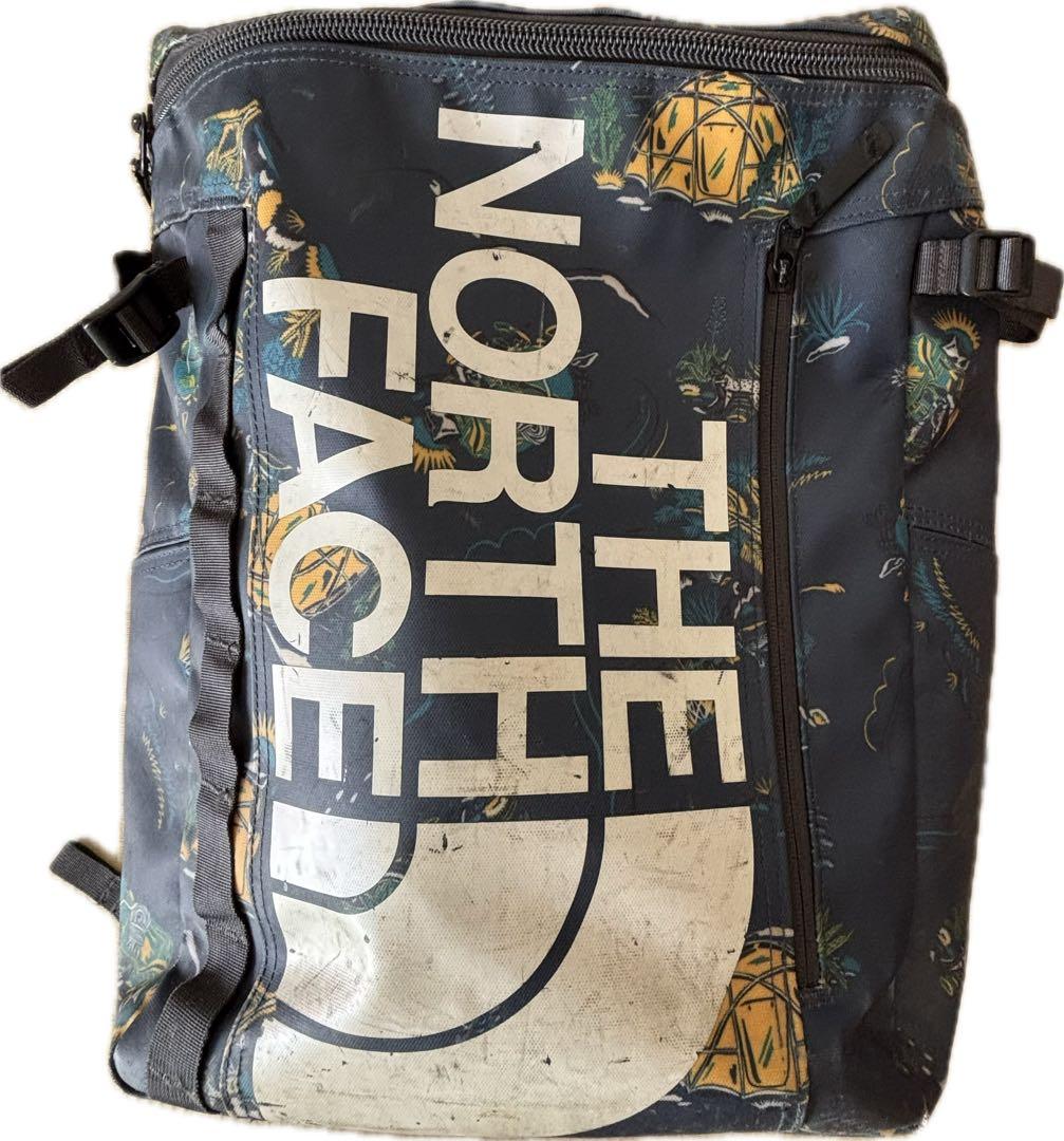 THE NORTH FACE 全身图案 背包