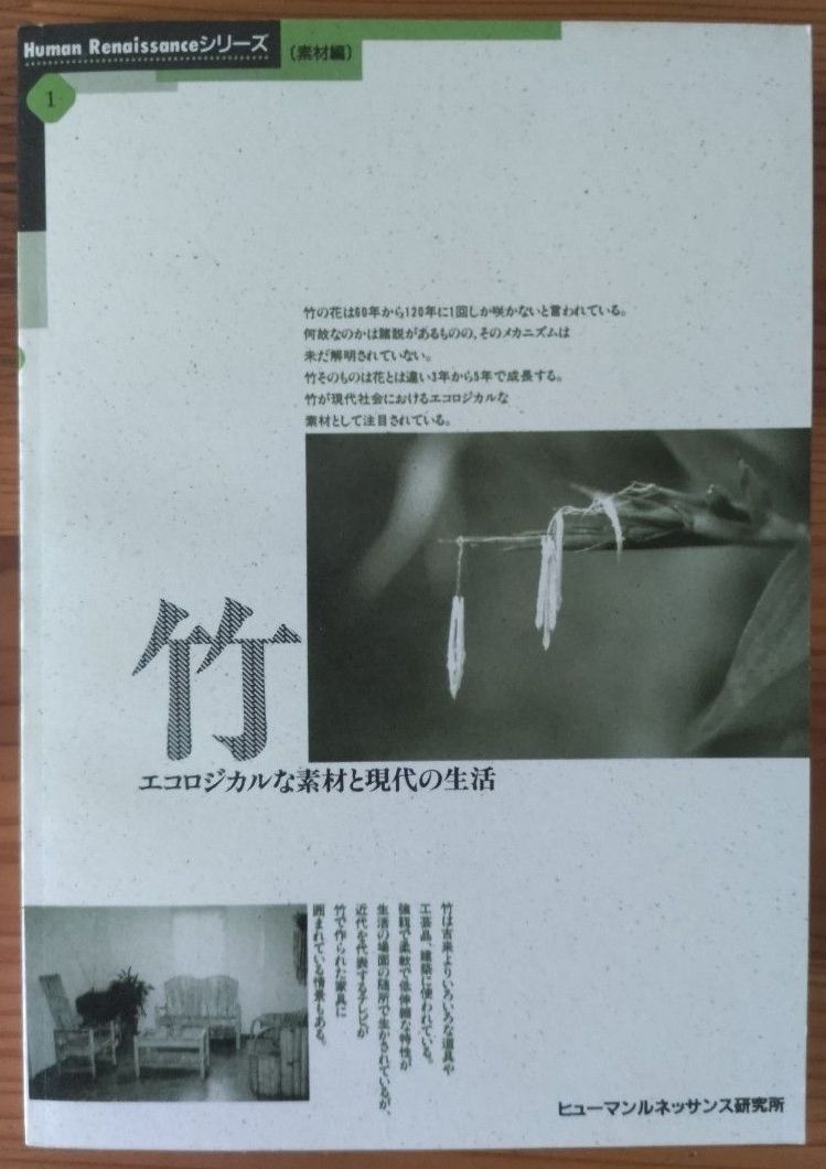 【激レア・1995年】Human Renaissanceシリーズ「竹」ヒューマンルネッサンス研究所 オムロン SINIC理論