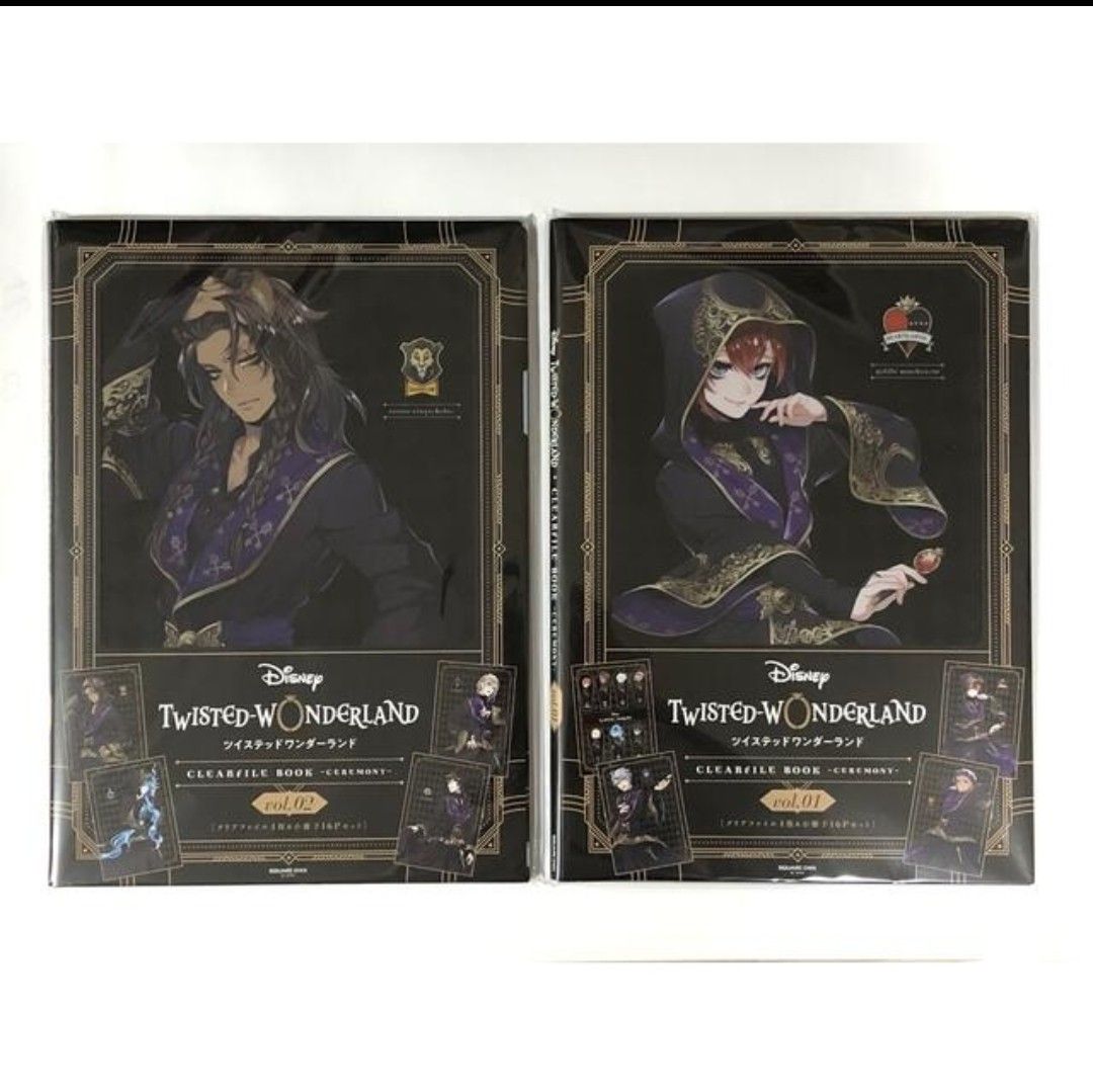 未拆封2件 迪士尼扭曲仙境 透明文件夹笔记本