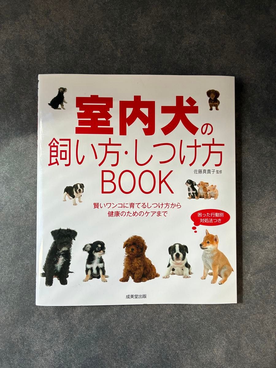 室内犬的饲养与训练方法 BOOK 成美堂出版 佐藤真贵子监修