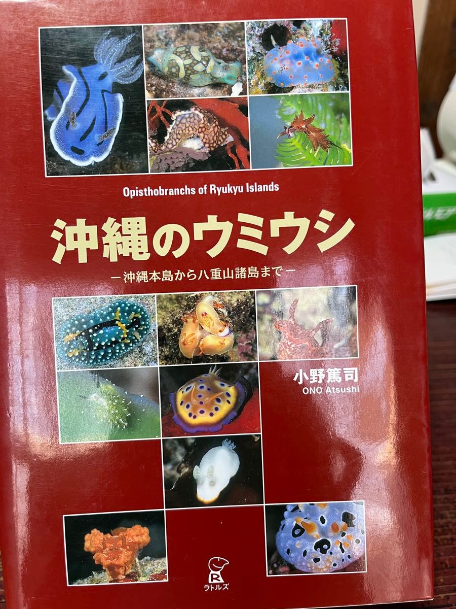从冲绳的海牛冲绳本岛到八重山群岛小野笃司拉特鲁兹