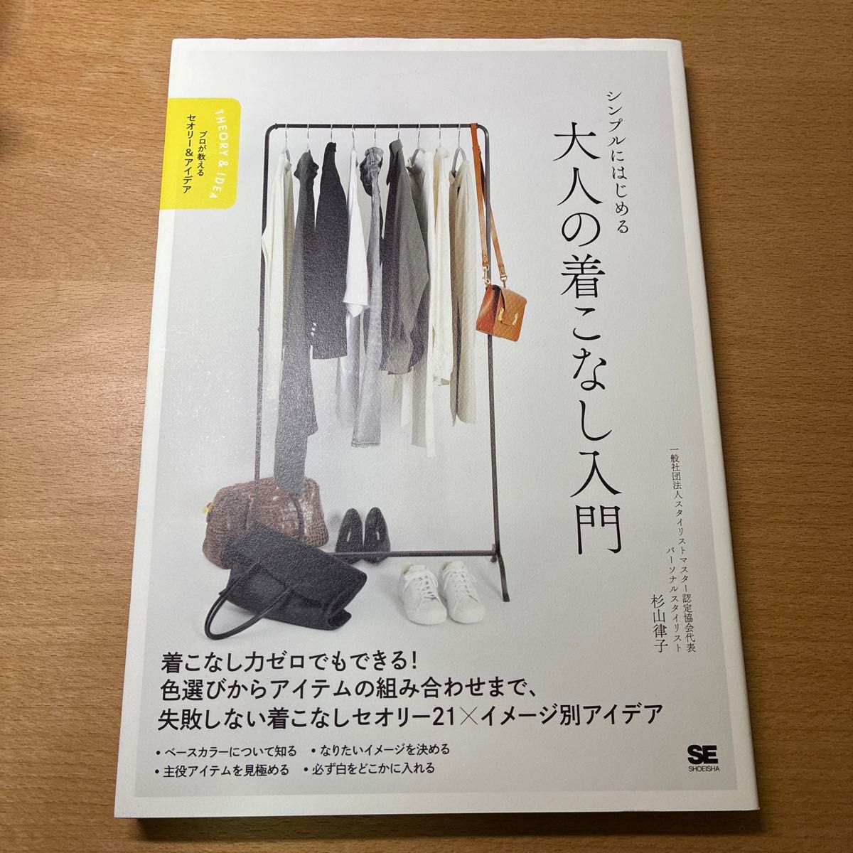 从简约入手的大人穿搭入门（专业人士传授的理论与灵感） 杉山律子 著