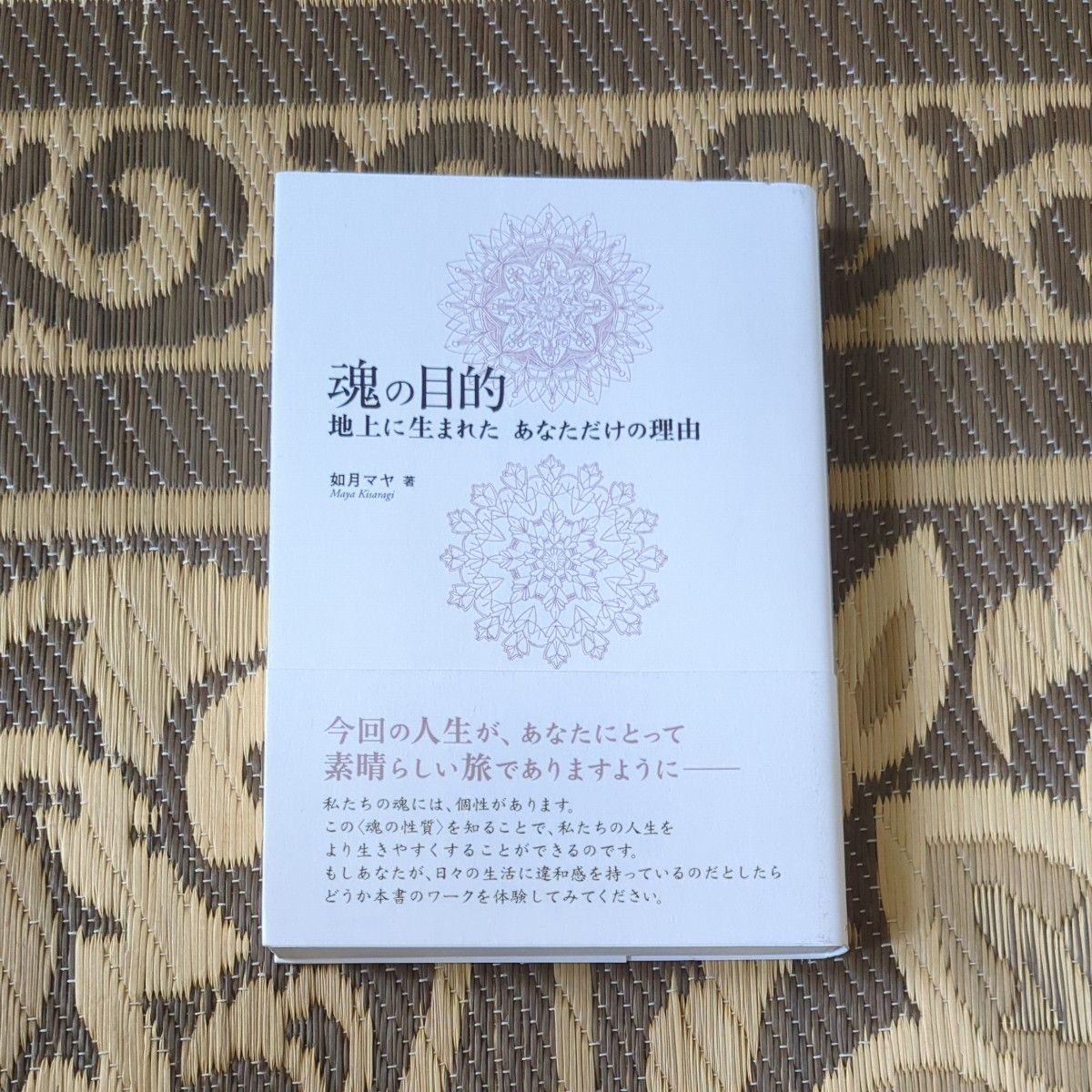 灵魂的目的:你来到地上的唯一理由 如月玛雅/著