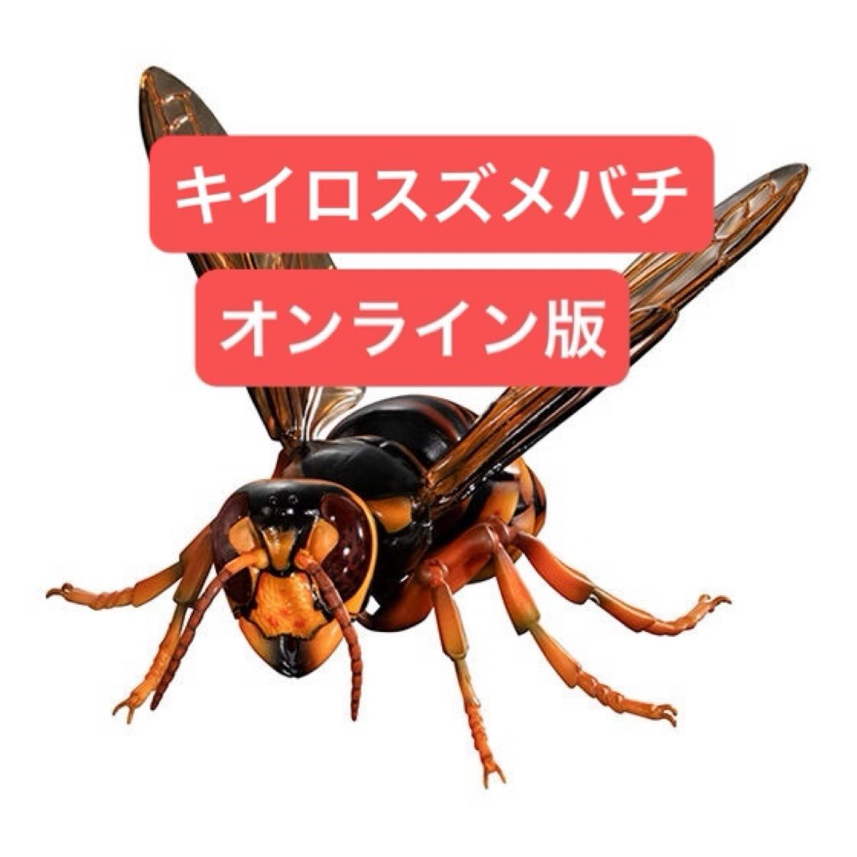 未开封生物大图鉴高级黄蜂02黄蜂在线版显示器支架套装万代