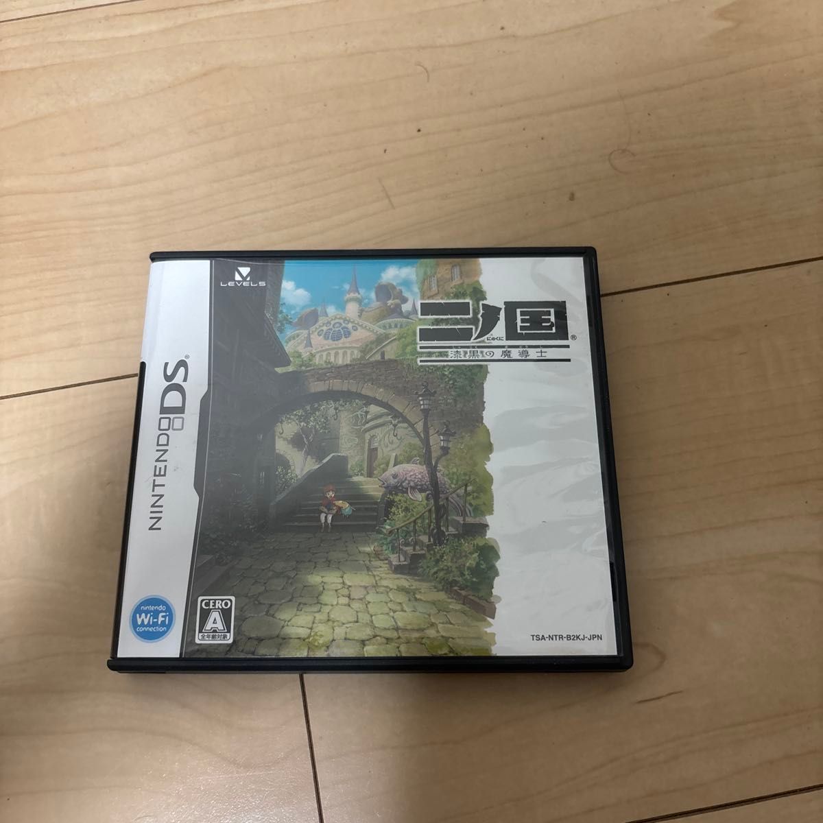 NINTENDO DS 二ノ国 漆黒の魔導士