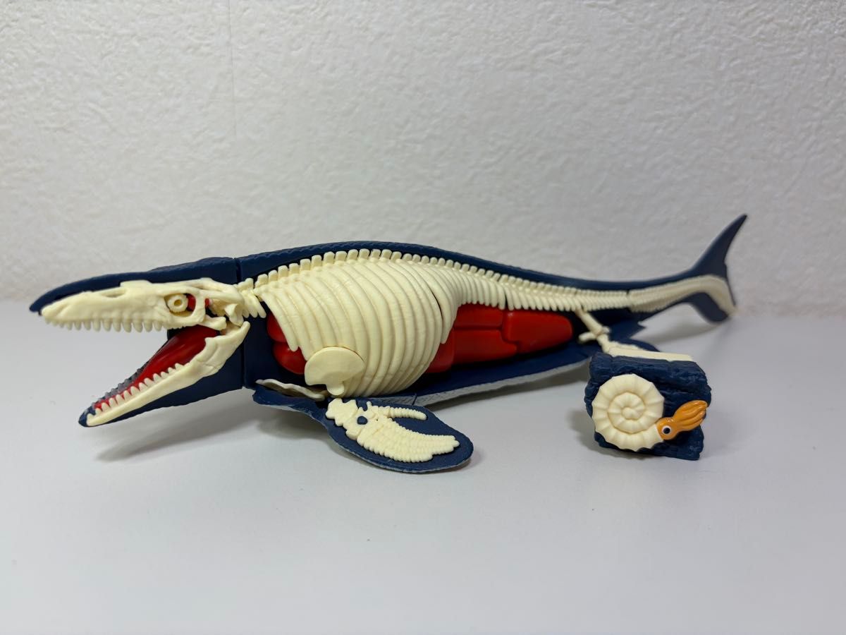 Disassembly Puzzle Mosasaurus Dinosaur Figure Skeleton Model