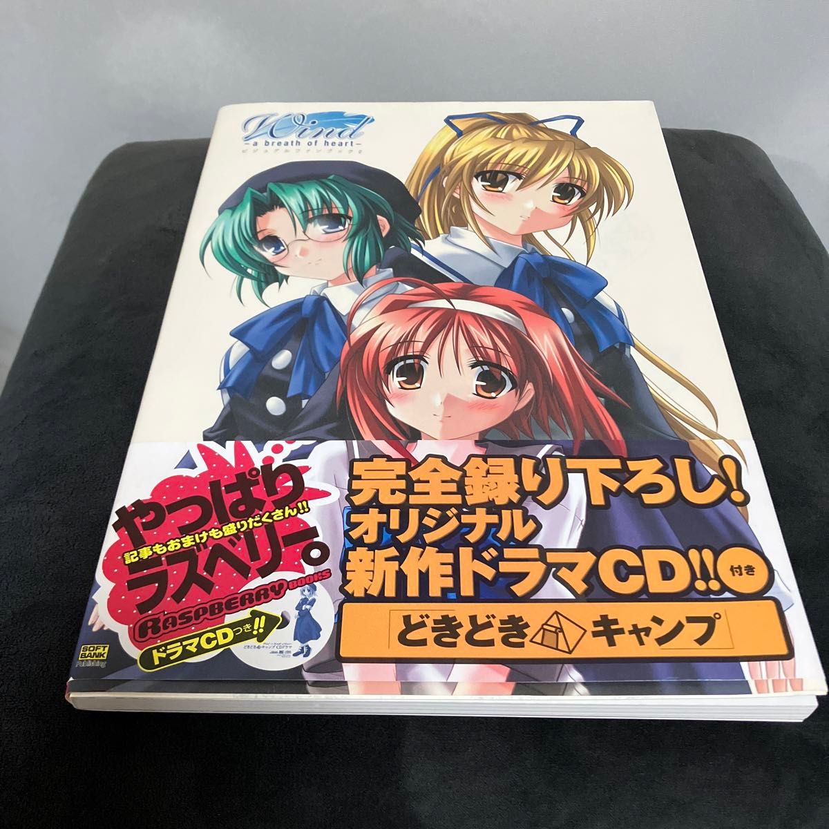 《Wind—心灵之息》视觉粉丝手册〈2〉(RASPBERRY BOOKS)CD缺货