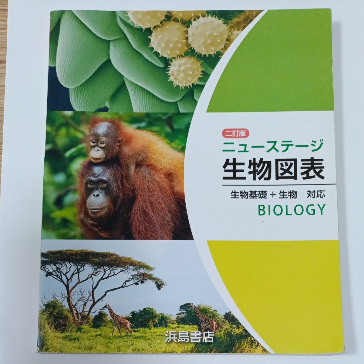 第二版 新视野 生物图表 生物基础+生物对应 浜岛书店 生物学
