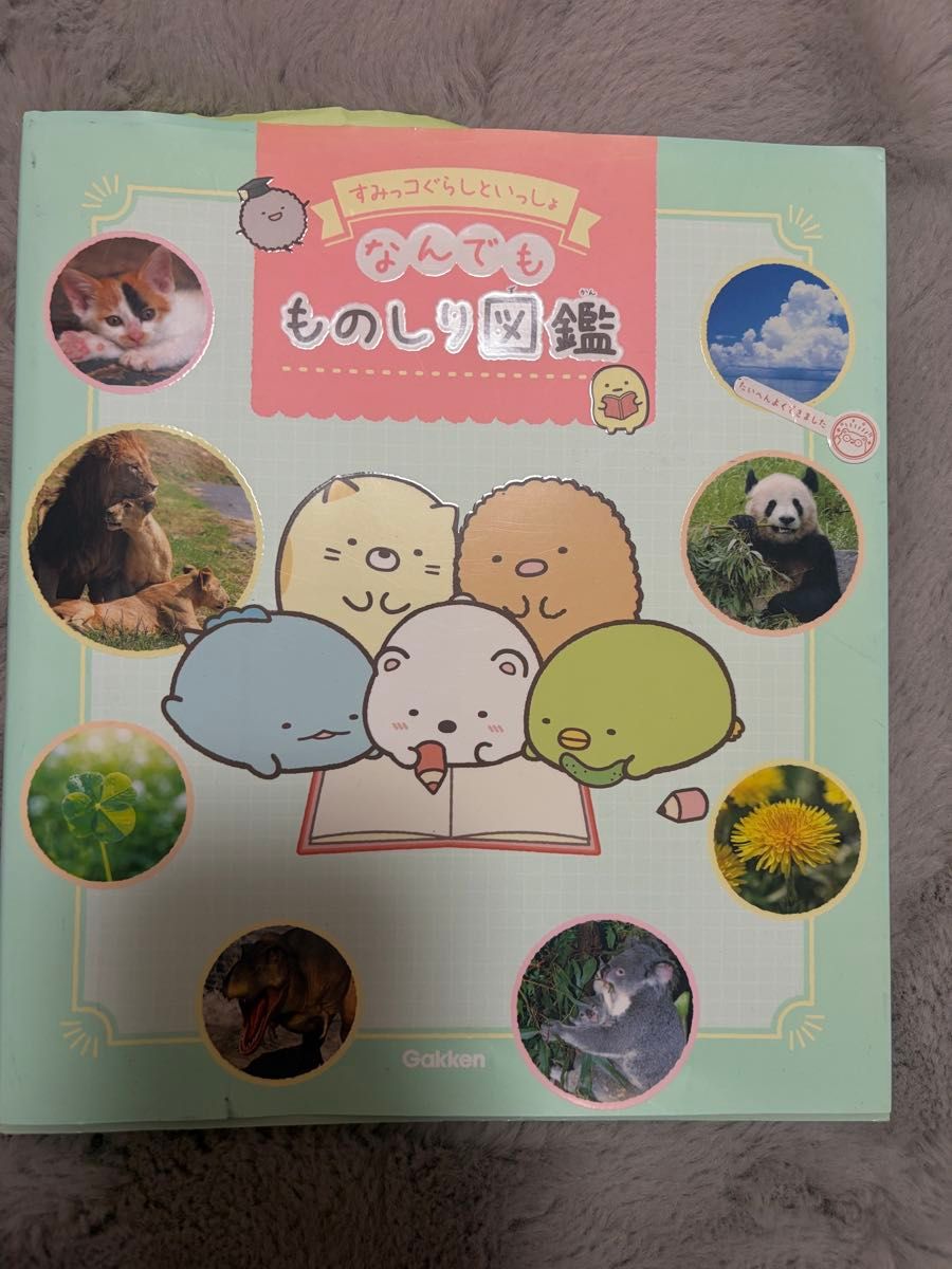 和角落生物一起 万物知识图鉴