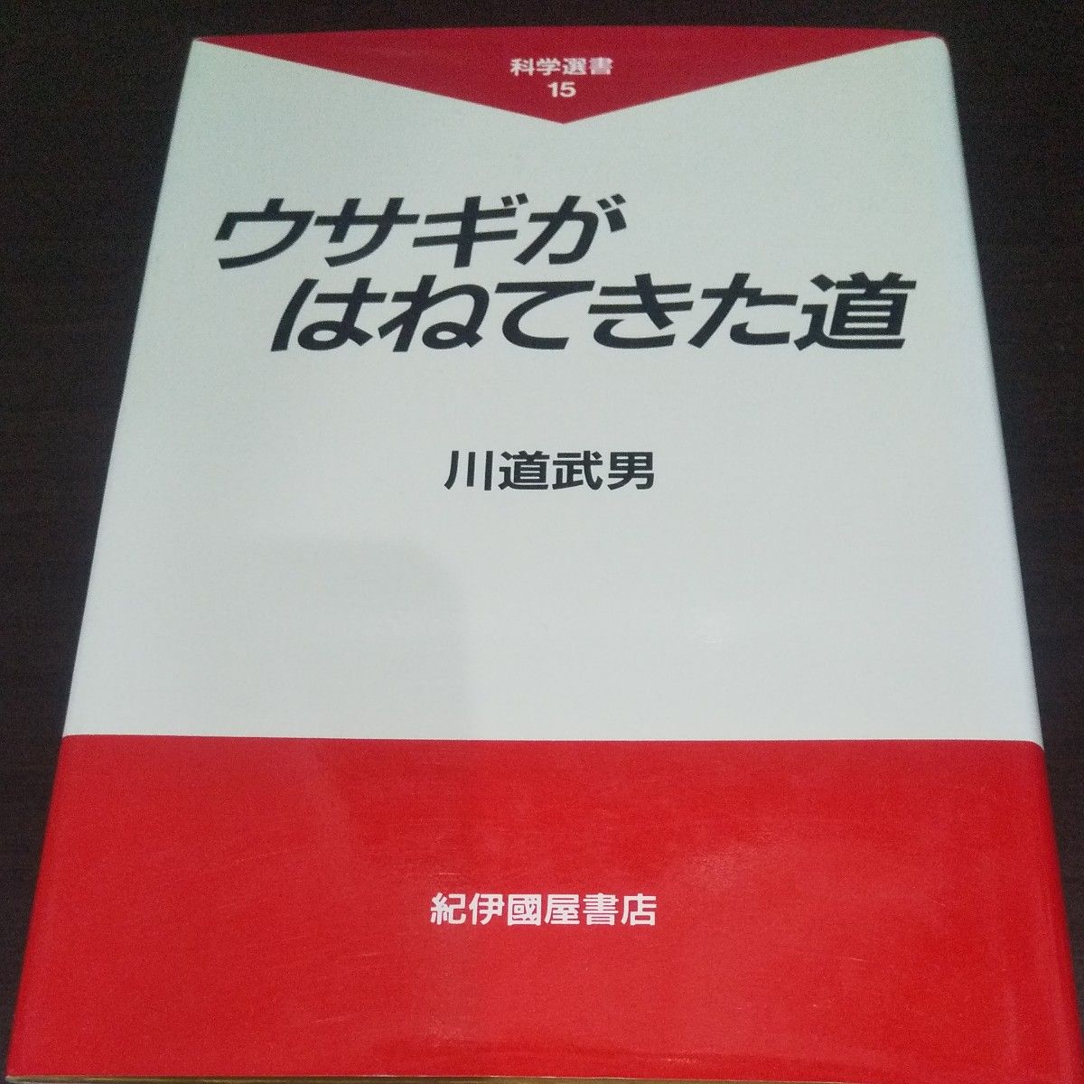 【兔子溅来的路】