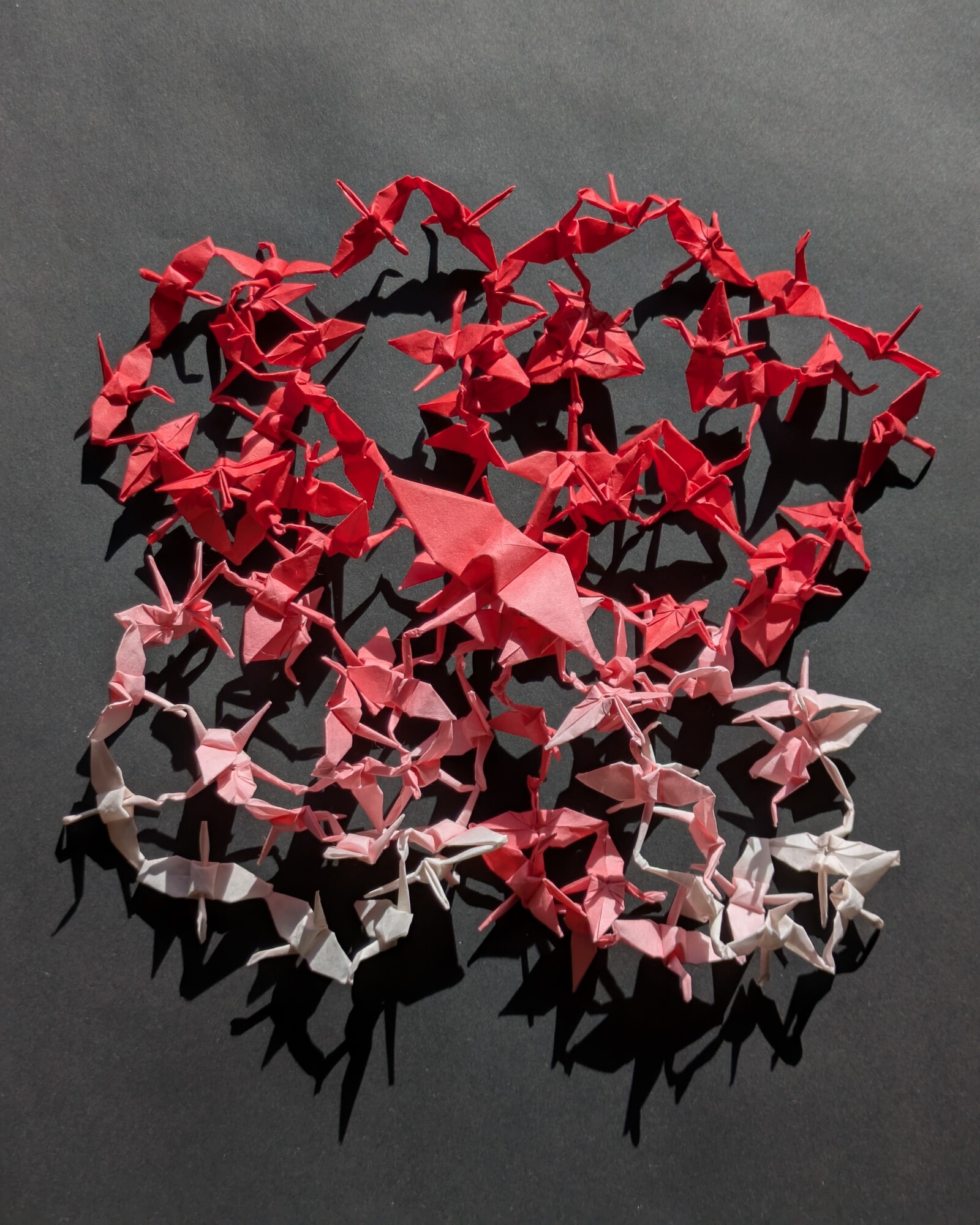 连鹤・百鹤 【千代红白】ちよこうはくRenzuru (Connected Cranes) ・Hyakkaku (One Hundred Cranes) 【Eternal Red and White】