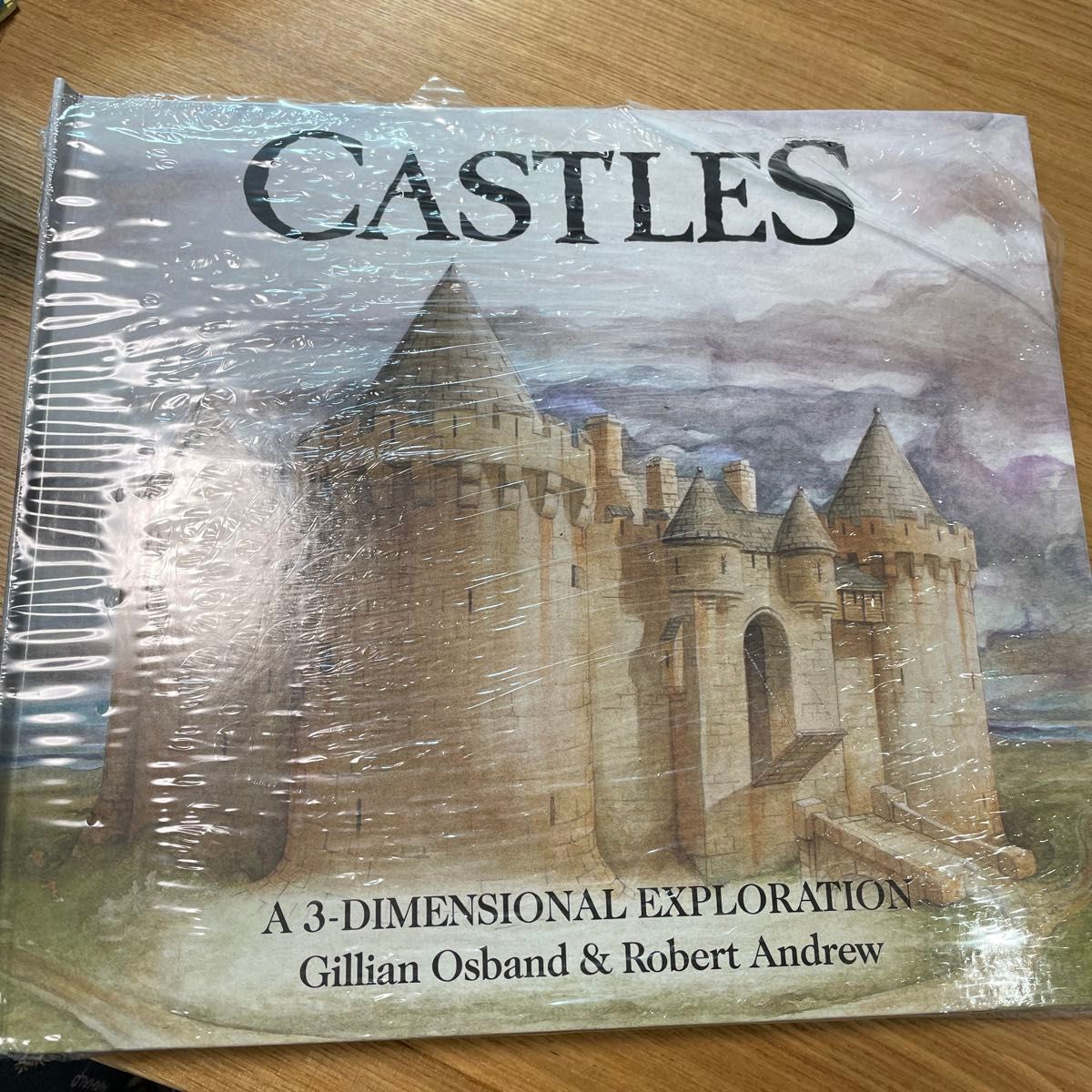 互动绘本 城堡 CASTLES 立体翻翻