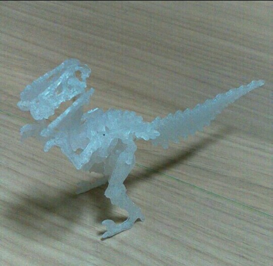 组装 恐龙模型 名片尺寸