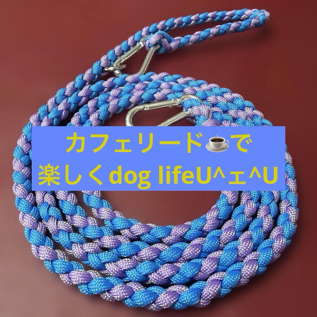 带两端登山扣的伞绳牵引绳 约180厘米（适用于小型犬）