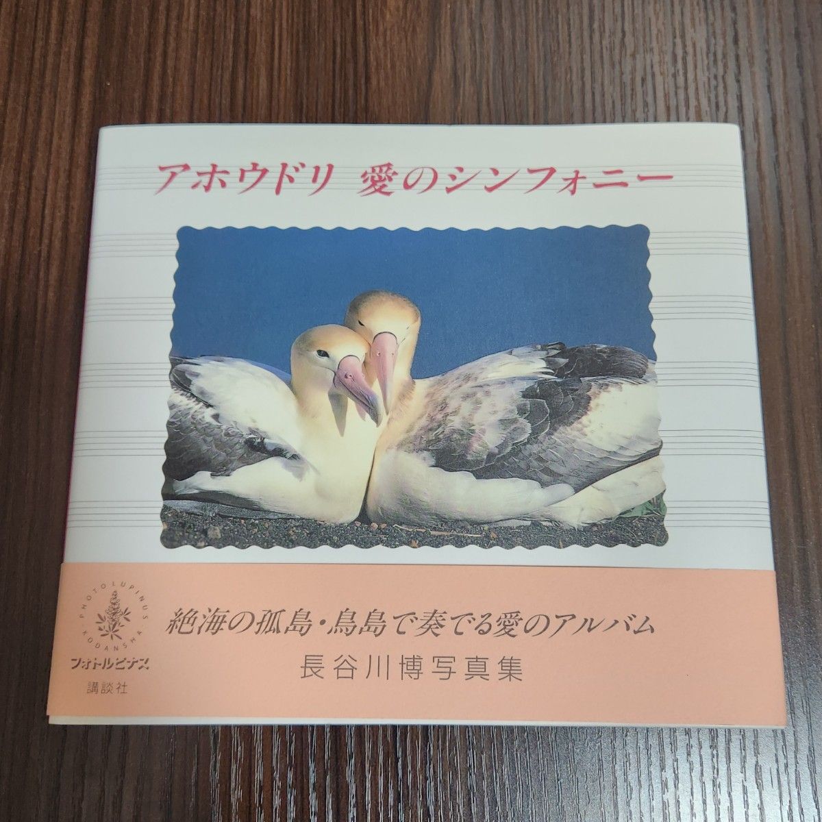 长谷川博写真集，长谷川博写真集