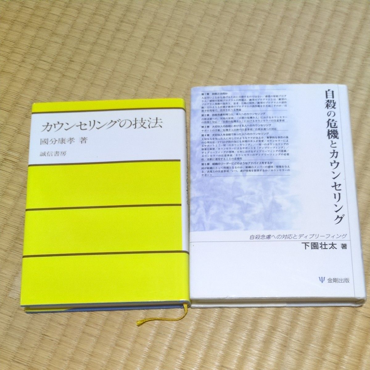可上架新商品 支持优惠券 咨询技巧 国分康孝 自杀危机与咨询 下国壮太
