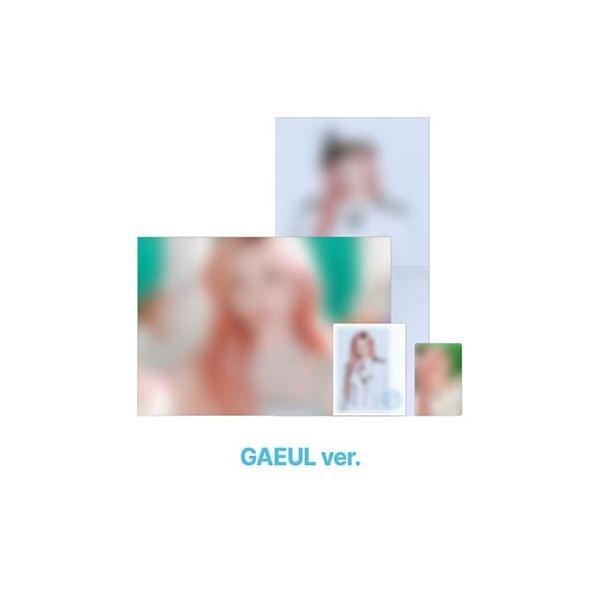 IVE [2026 IVE 第四场粉丝演唱会【DIVE into IVE】官方周边商品] 照片套装（GAEUL）配件