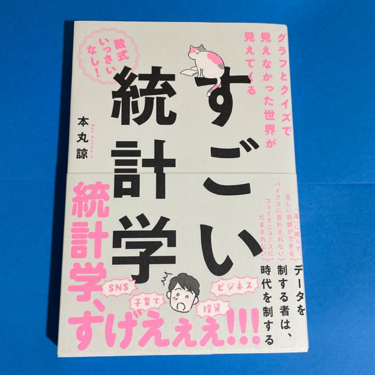 了不起的统计学：通过图表与测验，让你看清原本看不见的世界 本丸谅