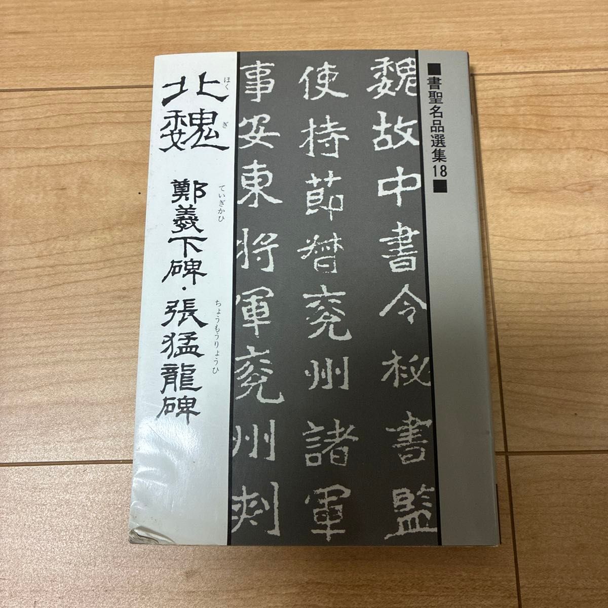 北魏 鄭羲下碑・張猛竜碑 (書聖名品選集 18) 桃山艸介/解説