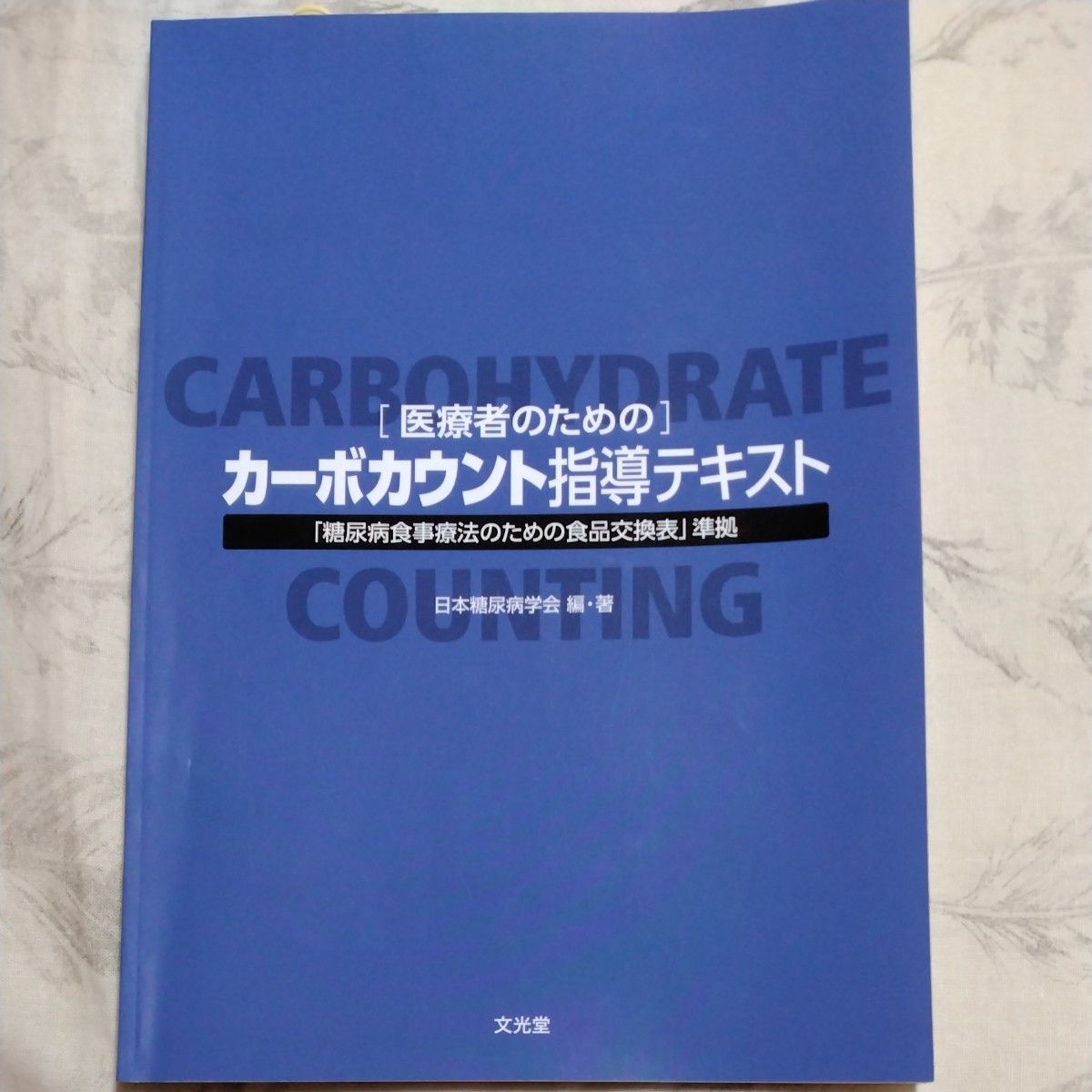 面向医护人员的碳水化合物计数指导教材