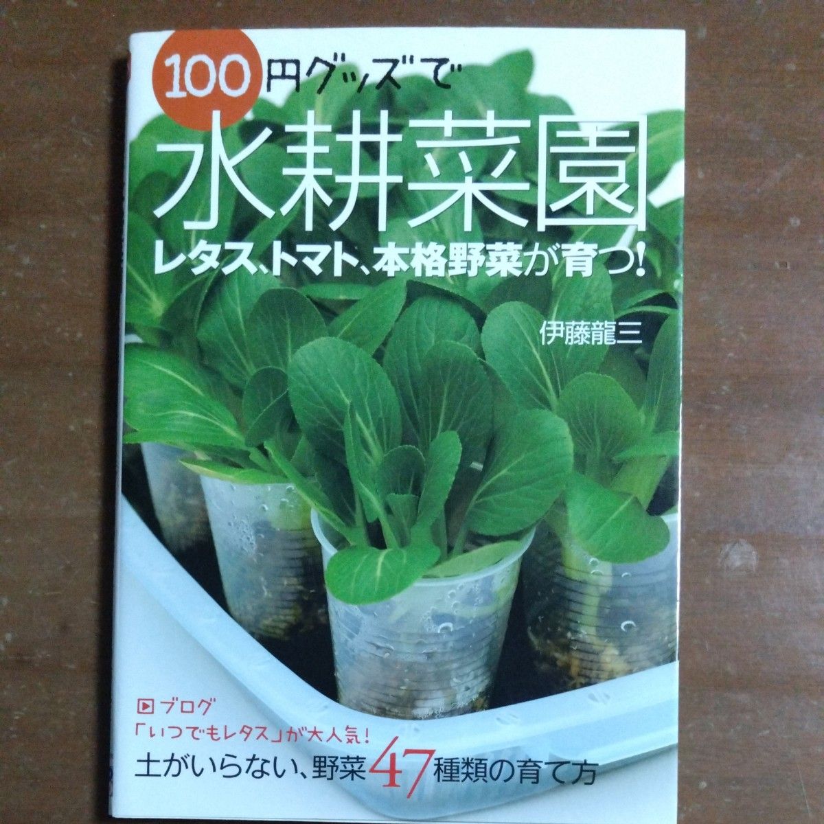 Hydroponic Gardening with 100-Yen Items: How to Grow 47 Types of Vegetables Without Soil, by Ryuzo Ito