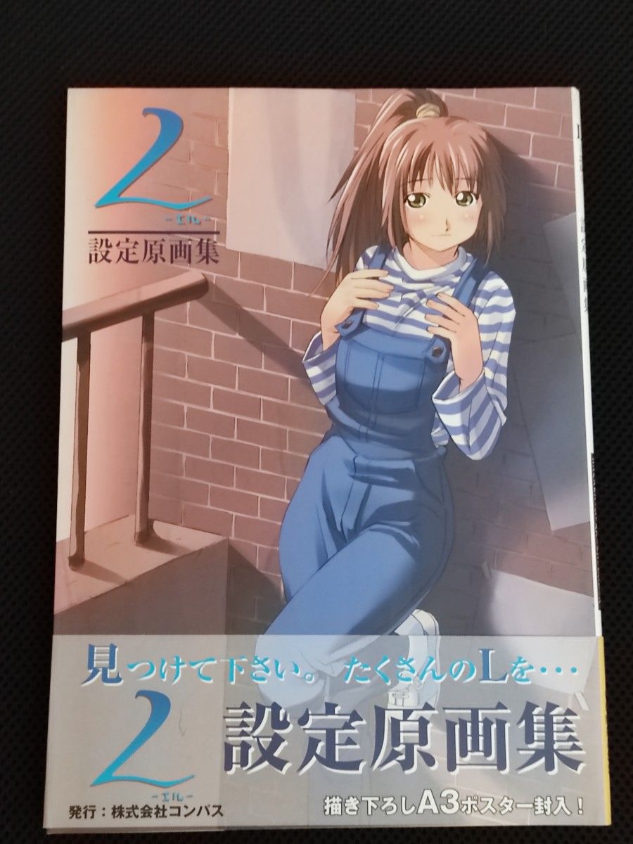 设定资料集 初版 L -EL- 设定原画集 PC TOPCAT a