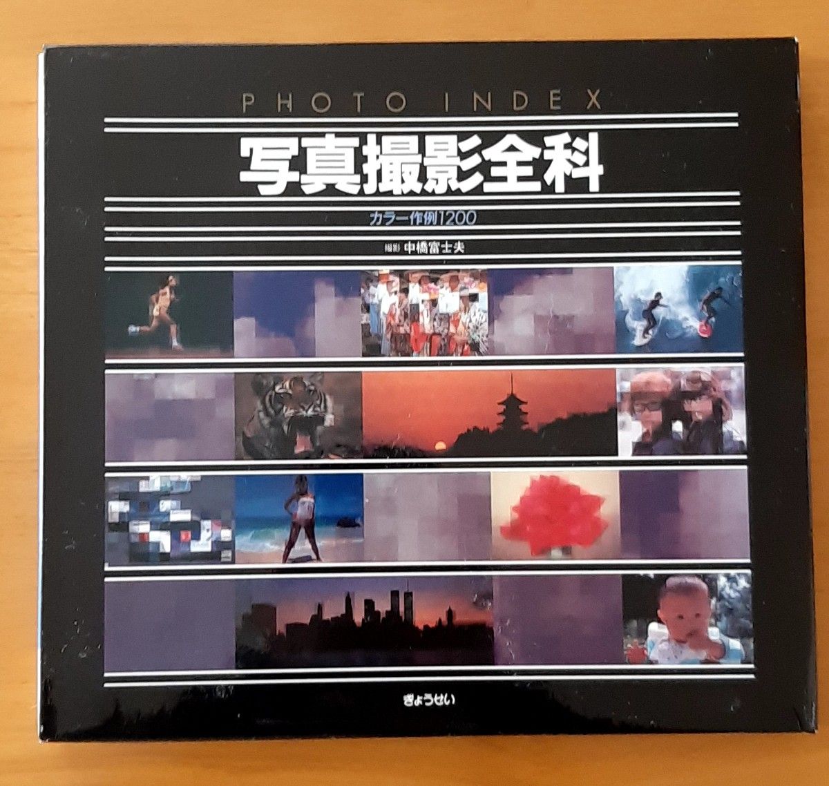 摄影全科 PHOTO INDEX 彩色范例1200 中桥富士夫 经营社