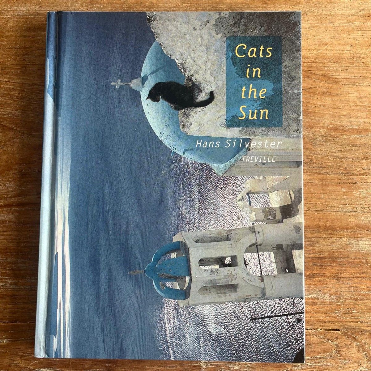 『Cats in the Sun: A Photobook by Hans Silvester