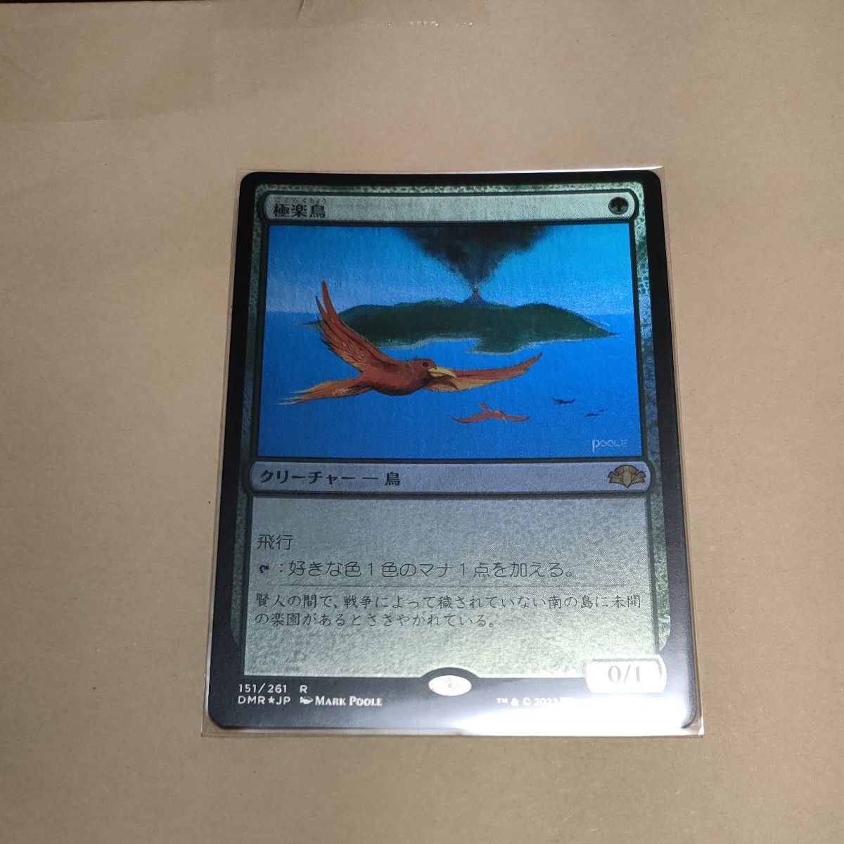 MTG 极乐鸟 日文版 多明纳里亚重制版 万智牌 foil