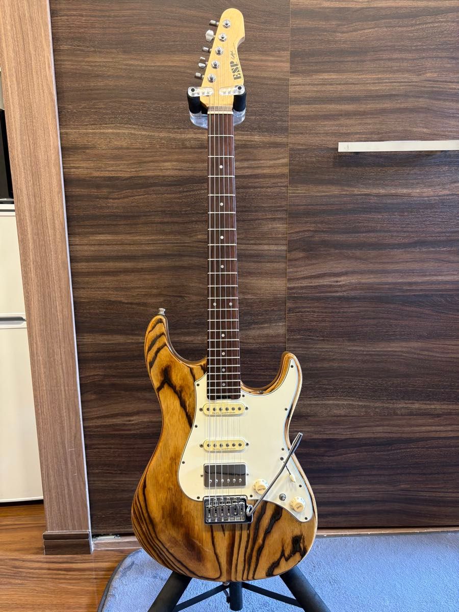 ESP 燃烧器型SNAPPER