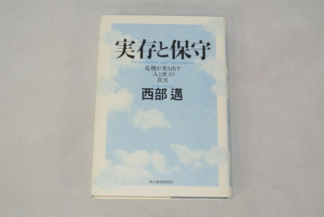 存在与维护：危机揭示的“人与世”的真相 / 全新未使用 / 有瑕疵商品 / 免运费