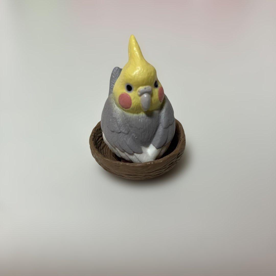 オカメインコ フィギュア 巣入り