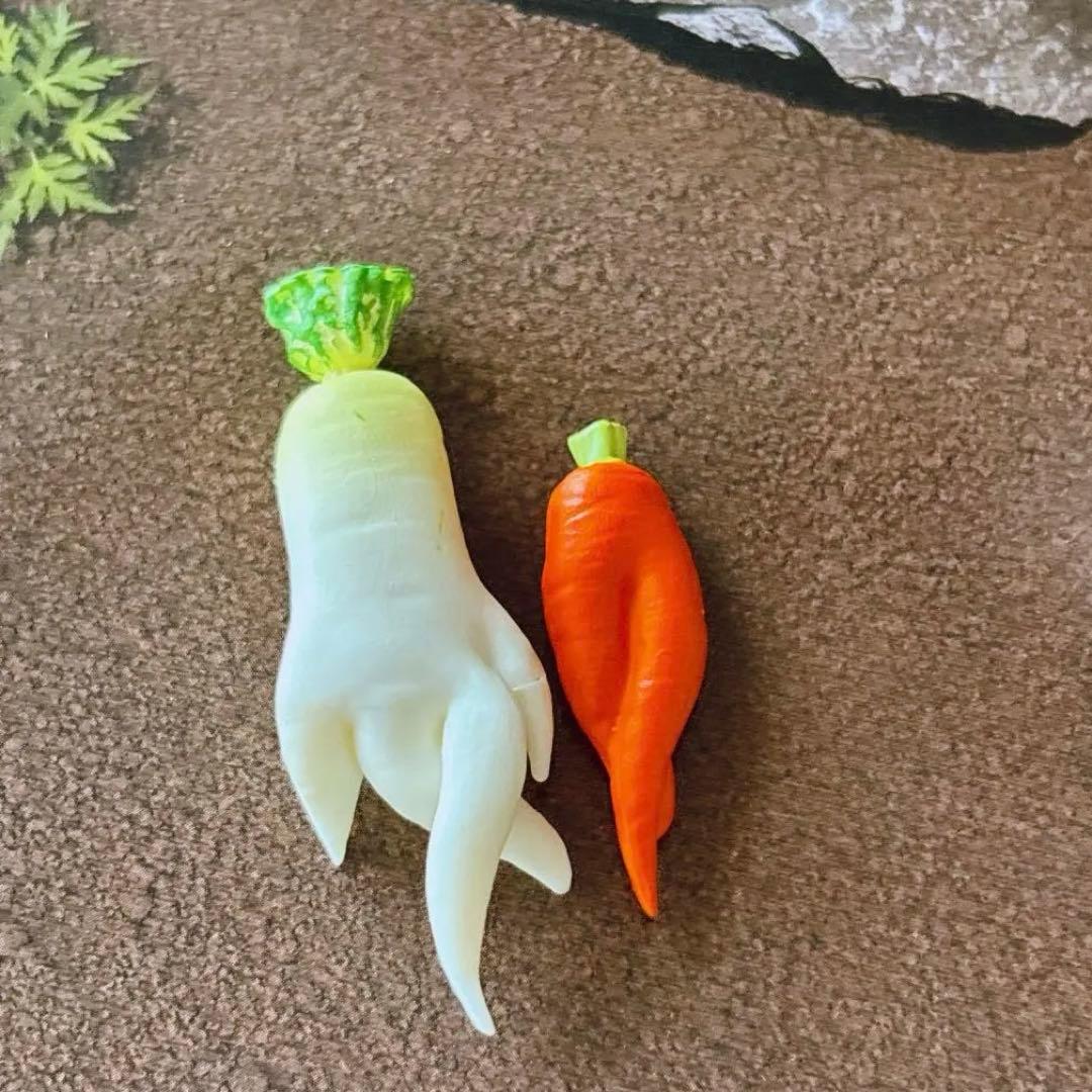 RE-MENT Unique-Shaped Radish and Carrot Miniature