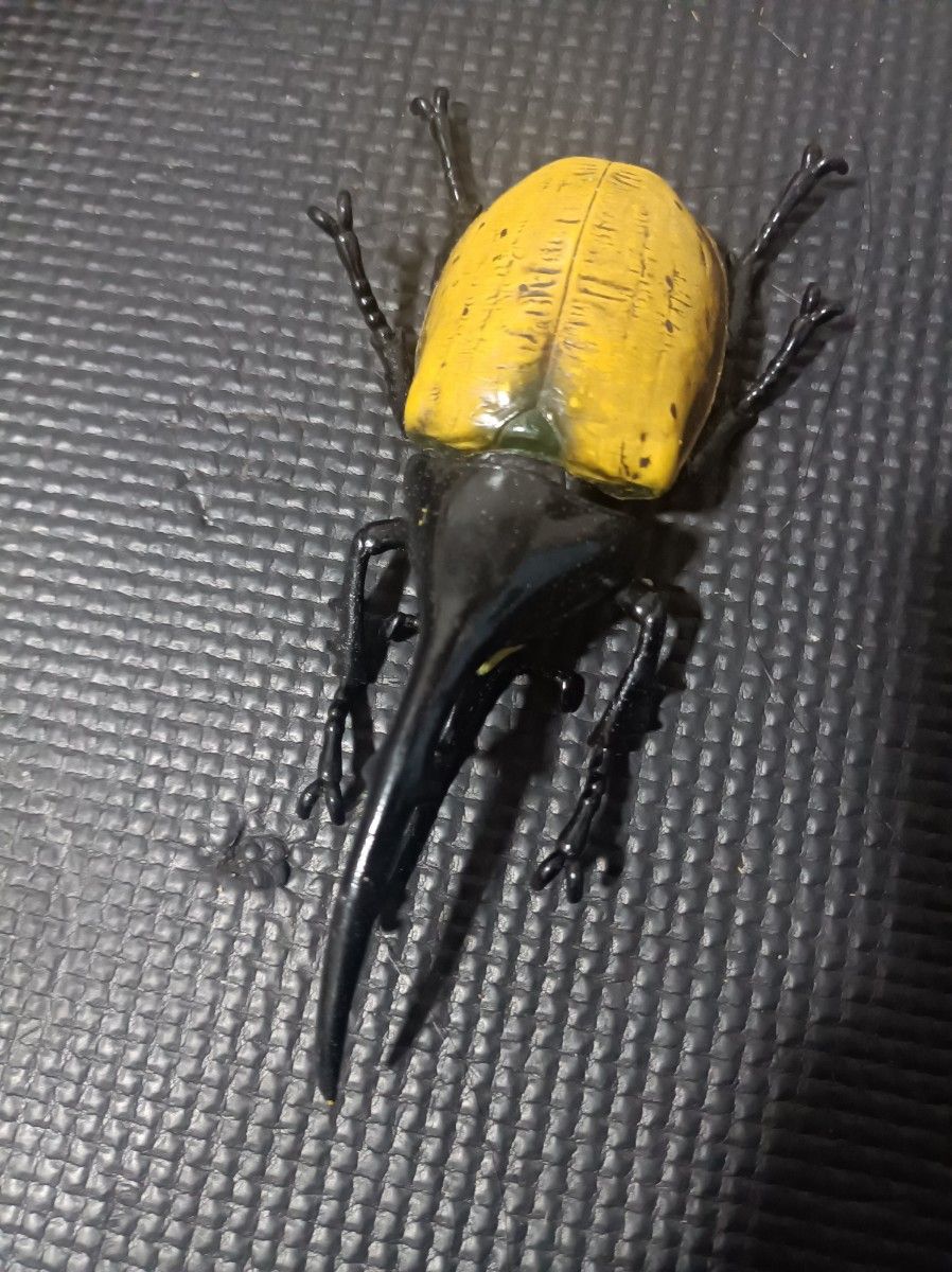 赫拉克勒斯甲虫 手办
