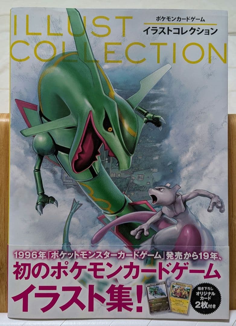Pokémon Card Game Illustration Collection with Bonus Card