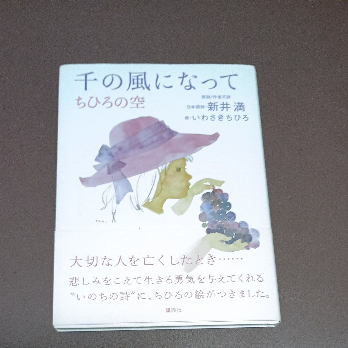化作千风 千寻的天空 新井满 日本诗歌 岩崎千弘 绘图 讲谈社