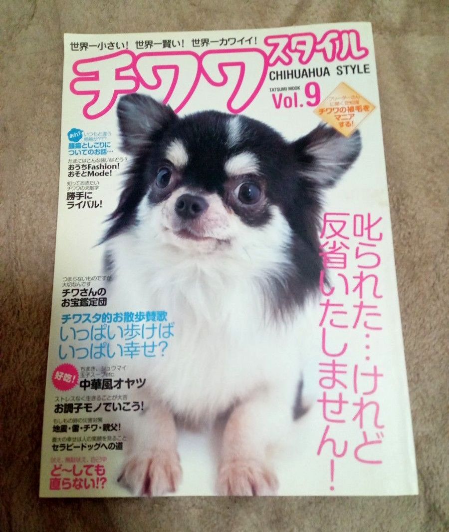 お値下げ交渉可能 チワワスタイル 世界一小さい!世界一賢い!世界一カワイイ! vol.9 チワワ 辰巳出版 愛犬家 チワワ好き