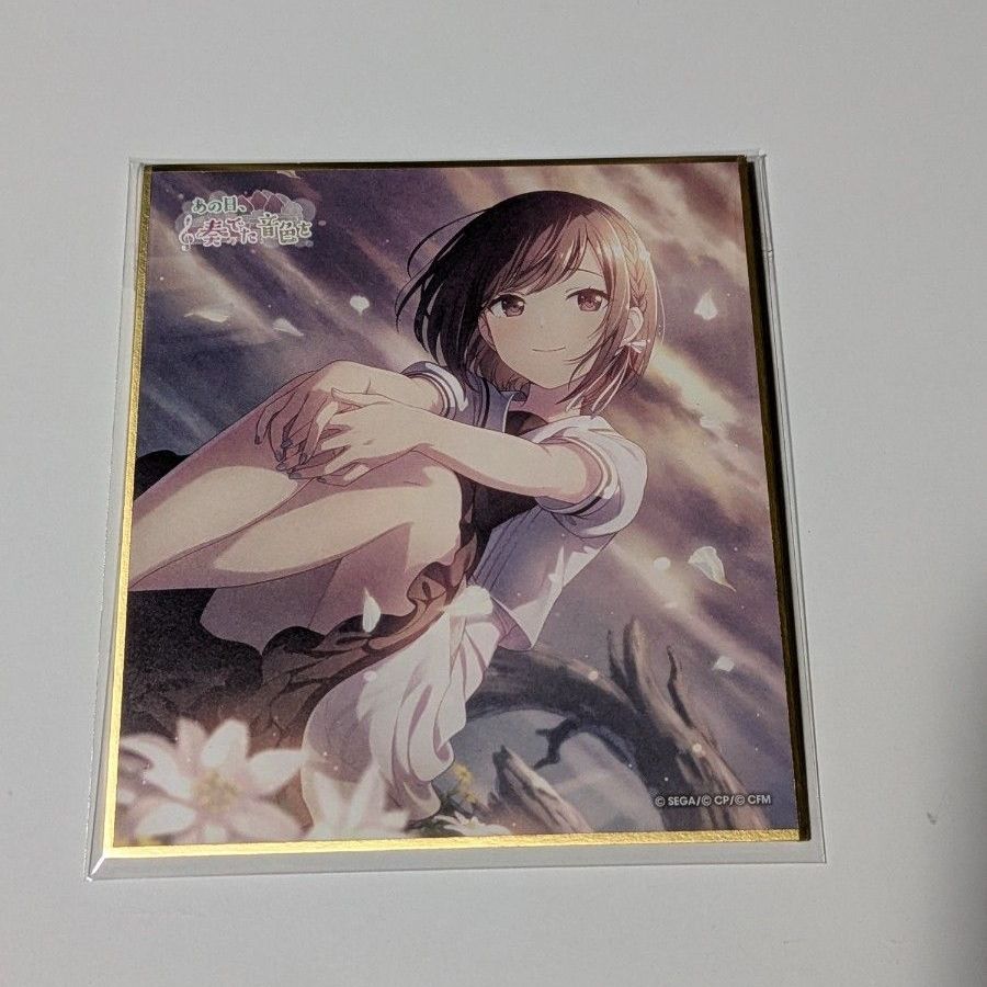 《Project Sekai》41C 迷你色纸 东云绘名 特训后