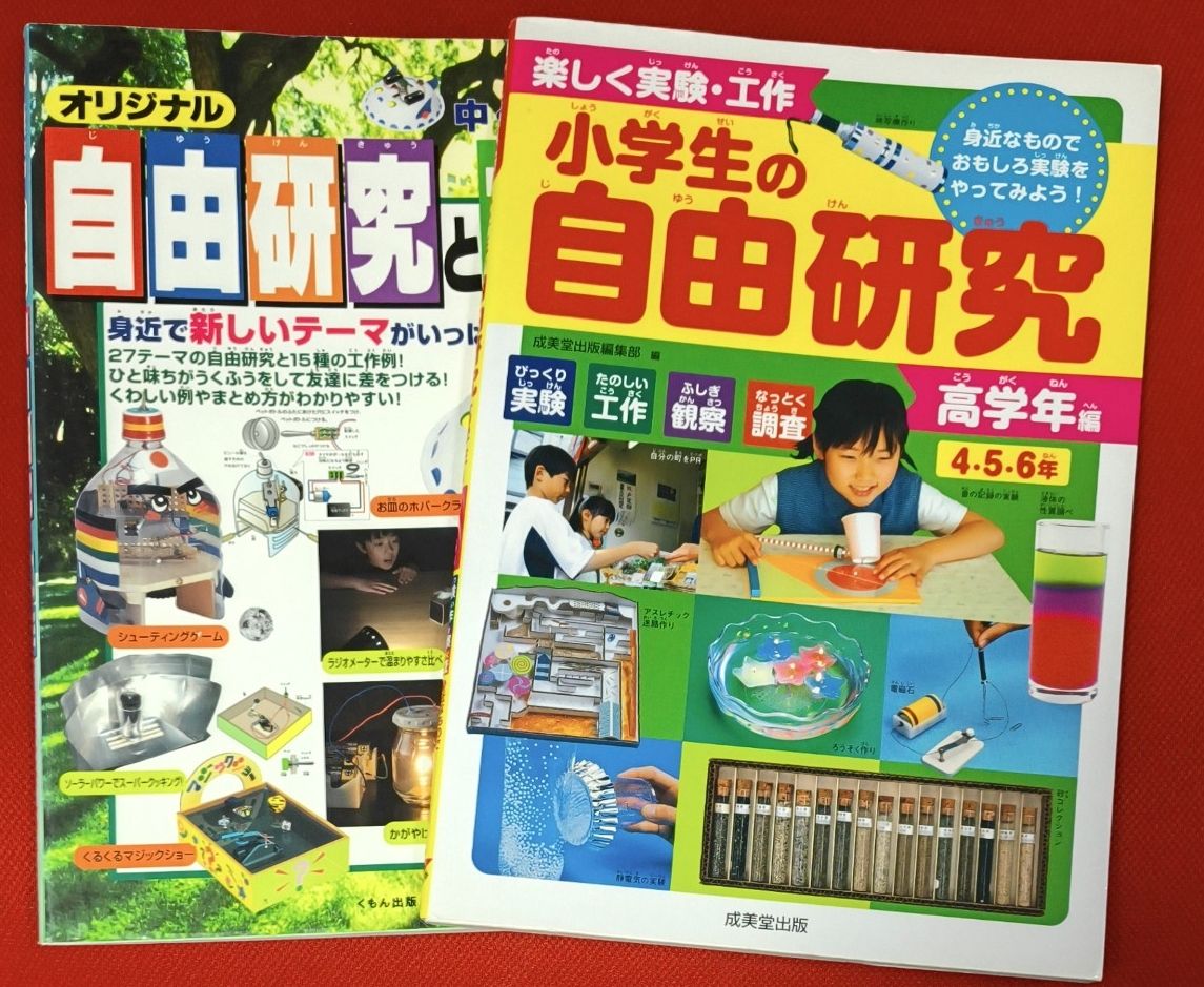 趣味实验与手工——小学生自由研究·高年级篇 2册套装