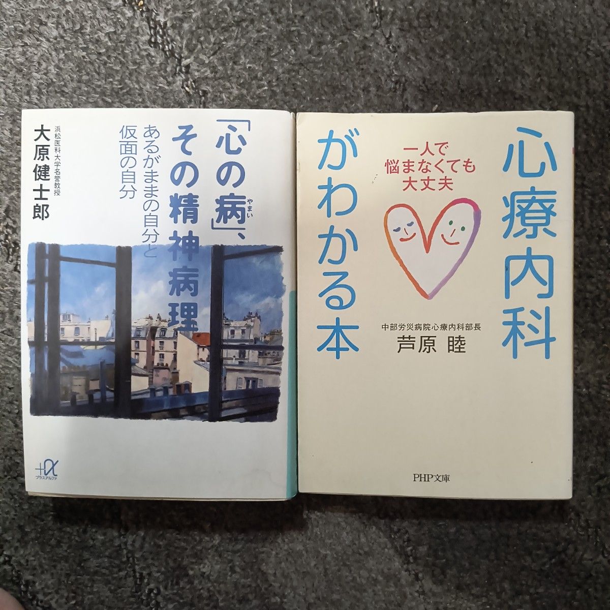 「"精神疾病"：了解其精神病理与心身医学科 2册套装