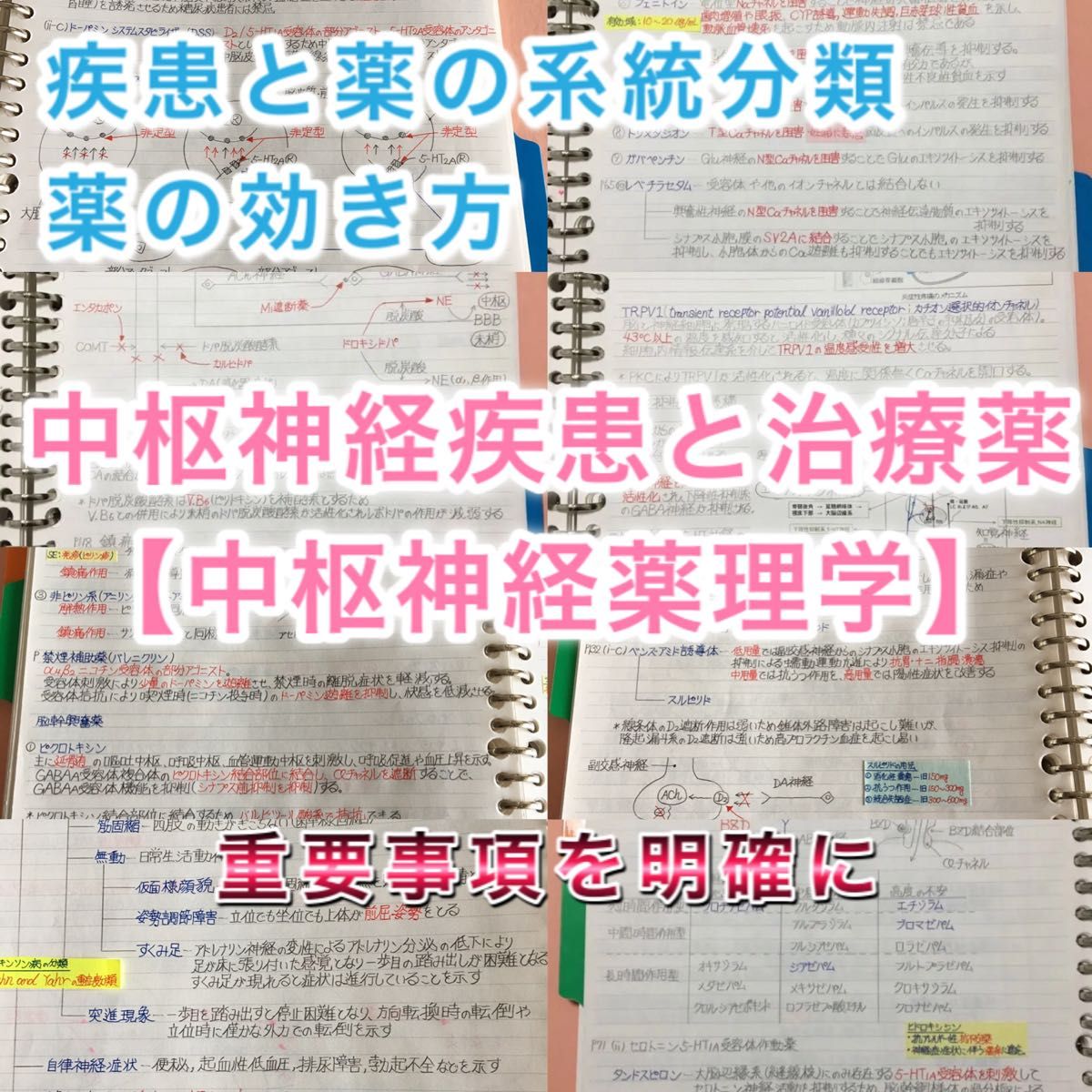 牙科医师国家考试、CBT、齿学部定期考试对策【中枢神经药理学】总结笔记