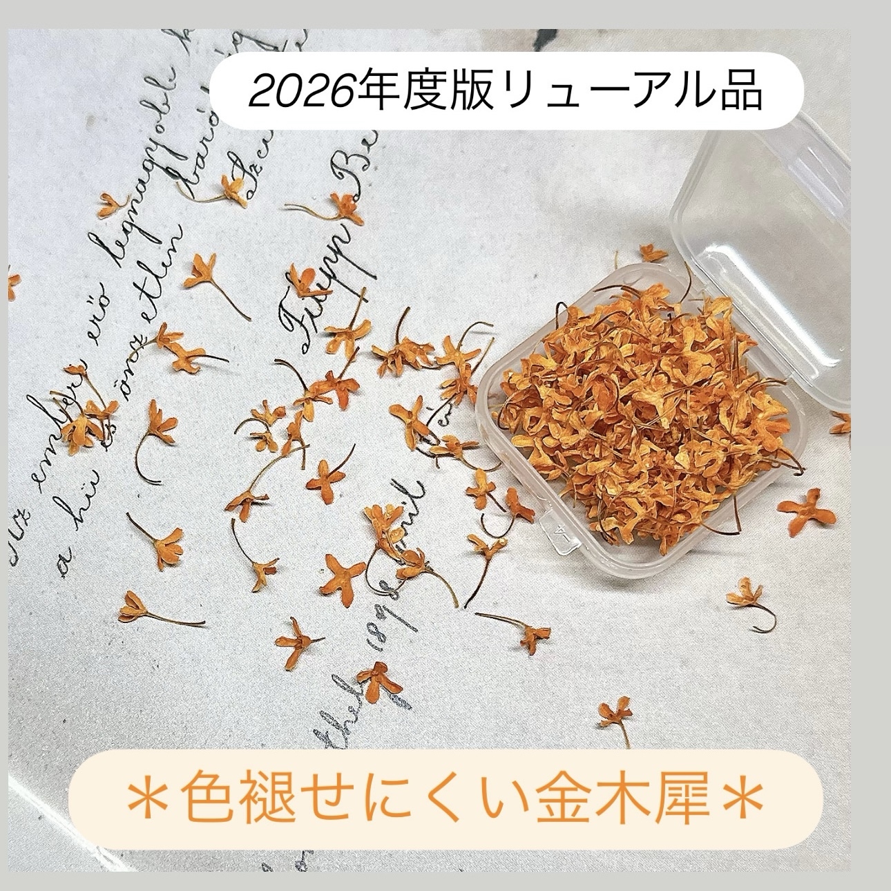 🌼 不易褪色的桂花*特殊加工干花