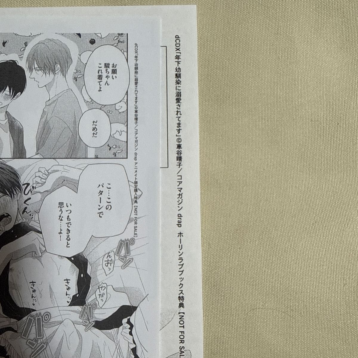 被年幼的青梅竹马溺爱着霍林动画特典纸