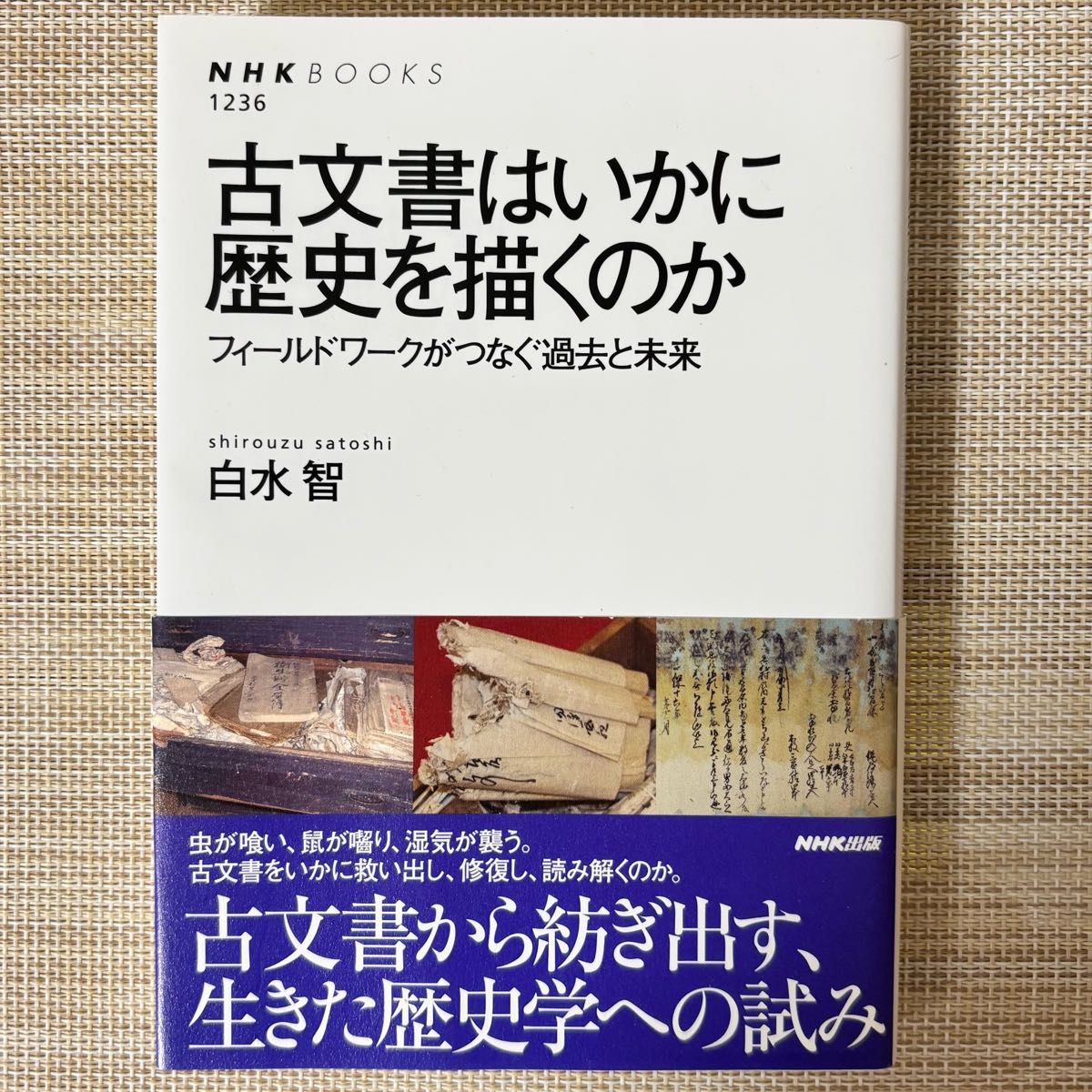 古文書はいかに歴史を描くのか フィールドワークがつなぐ過去と未来 白水智 NHKブックス