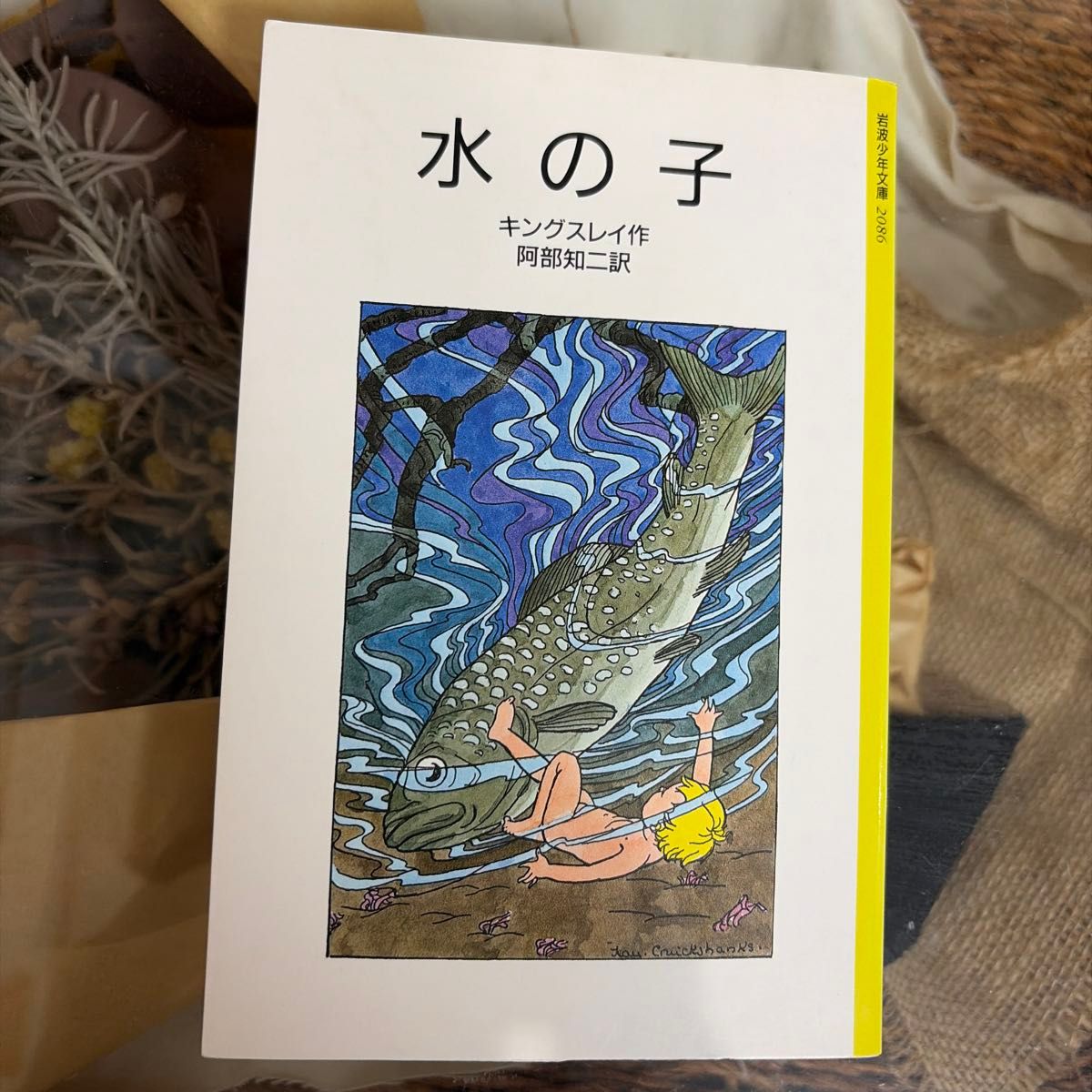 水の子 キングスレイ作 阿部知二訳 岩波少年文庫 2086